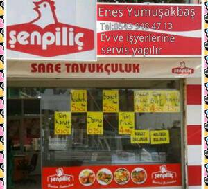Sare Tavukculuk Sakirpasa Adana